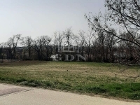 Telki 家庭别墅 4