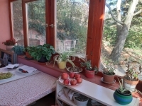 Zsámbék Családi ház 3