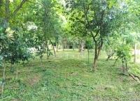 Vámosmikola Családi ház 10