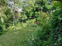 Budaörs 家庭别墅 15