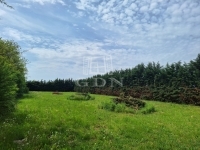 Érd Családi ház 6