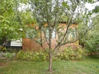 Eladó telek Budakeszi, 610m2