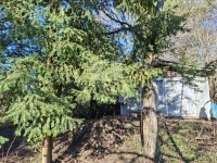 Budakeszi Telek - 29.900.000 Ft