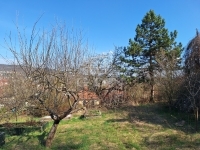 Nagykovácsi Telek - 80.000.000 Ft