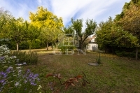 Budapest XVI. kerület Commercial - Commercial premises 4