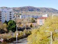 Budapest III. kerület Lakás (panel) 14