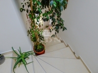 Dunakeszi Családi ház 19