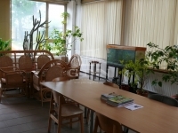 Nagykőrös Ipari terület 13