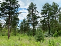 Kecskemét Családi ház 5