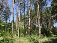 Kecskemét Családi ház 4