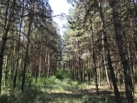 Kecskemét Családi ház 3