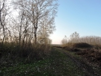 Nagykőrös Tanya 11