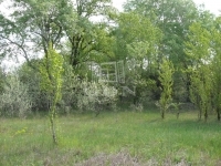 Kecskemét Mezőgazdasági terület 0