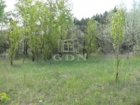 Kecskemét Mezőgazdasági terület 2