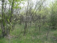 Kecskemét Mezőgazdasági terület 3