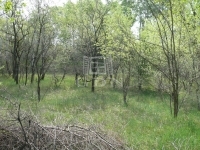 Kecskemét Mezőgazdasági terület 4