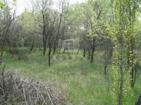 Kecskemét Mezőgazdasági terület 1