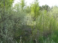 Kecskemét Mezőgazdasági terület 7