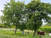 Kerekegyháza Tanya 3