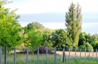 Kerekegyháza Tanya 1