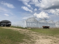 Kecskemét 农业区域 5