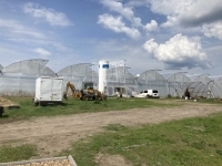 Kecskemét 农业区域 4