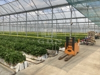 Kecskemét 农业区域 3