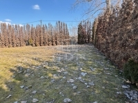 Kecskemét 家庭别墅 10