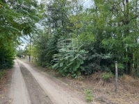 Ballószög Családi ház 3