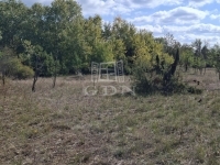 Kerekegyháza Mezőgazdasági terület 5