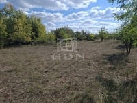 Kerekegyháza Mezőgazdasági terület 3