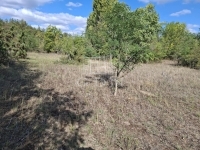 Kerekegyháza Mezőgazdasági terület 2