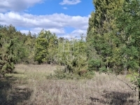 Kerekegyháza Mezőgazdasági terület 0