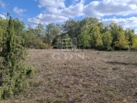 Kerekegyháza Mezőgazdasági terület 1