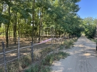 Kecskemét Családi ház 6