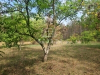 Nyárlőrinc Tanya 12