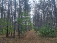 Nyárlőrinc Tanya 5