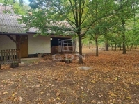 Nyárlőrinc Tanya 2