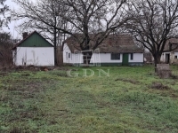 Verkauf hof Kecskemét, 60m2