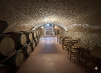 Kecskemét Casa Familiala 16