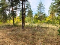 Kecskemét Családi ház 15