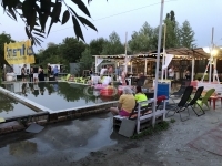 Budapest XXIII. kerület Telek 5