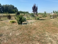 Szigetcsép Wohngrundstück 4