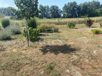 Szigetcsép Wohngrundstück 5