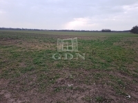 Kiskunlacháza Teren pentru constructii 3