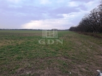 Kiskunlacháza Teren pentru constructii 5