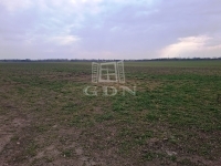 Kiskunlacháza Teren pentru constructii 6