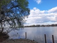 Ráckeve Családi ház 18