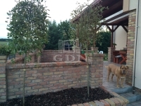 Szigethalom Einfamilienhaus 22