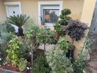 Szigetszentmiklós Einfamilienhaus 25